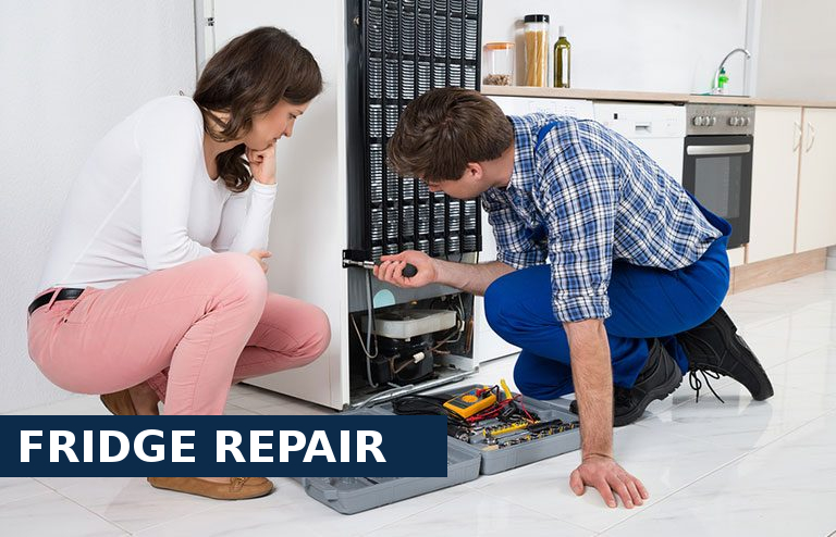 Fridge Repair Loughton